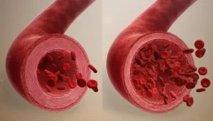 Illustration of blood vessels before and after vasodilation, demonstrating how L-Arginine enhances nitric oxide production for improved circulation and endurance